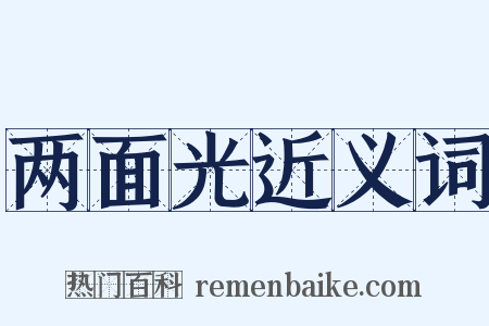 两面光近义词是什么意思的图片